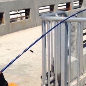 Meet your Posher, Jayden